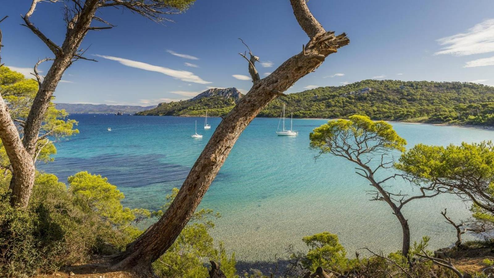 Calme Et Confort En Rez-De-Jardin La Londe-les-Maures Extérieur photo